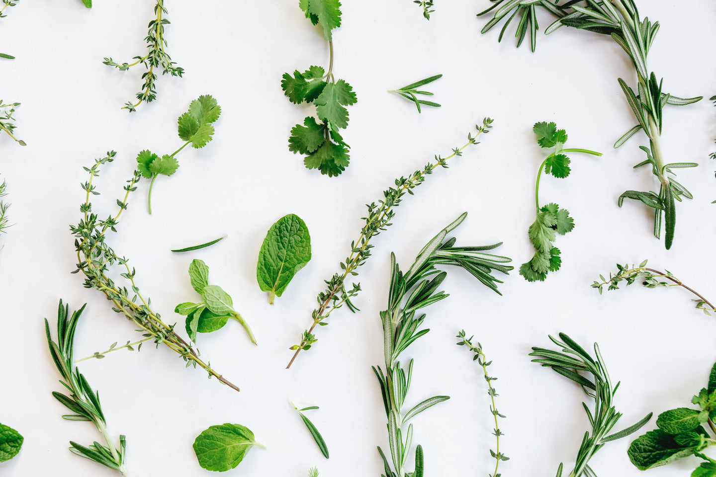 I NOSTRI INGREDIENTI